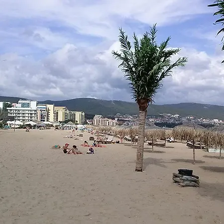 Palm Kort Слънчев бряг